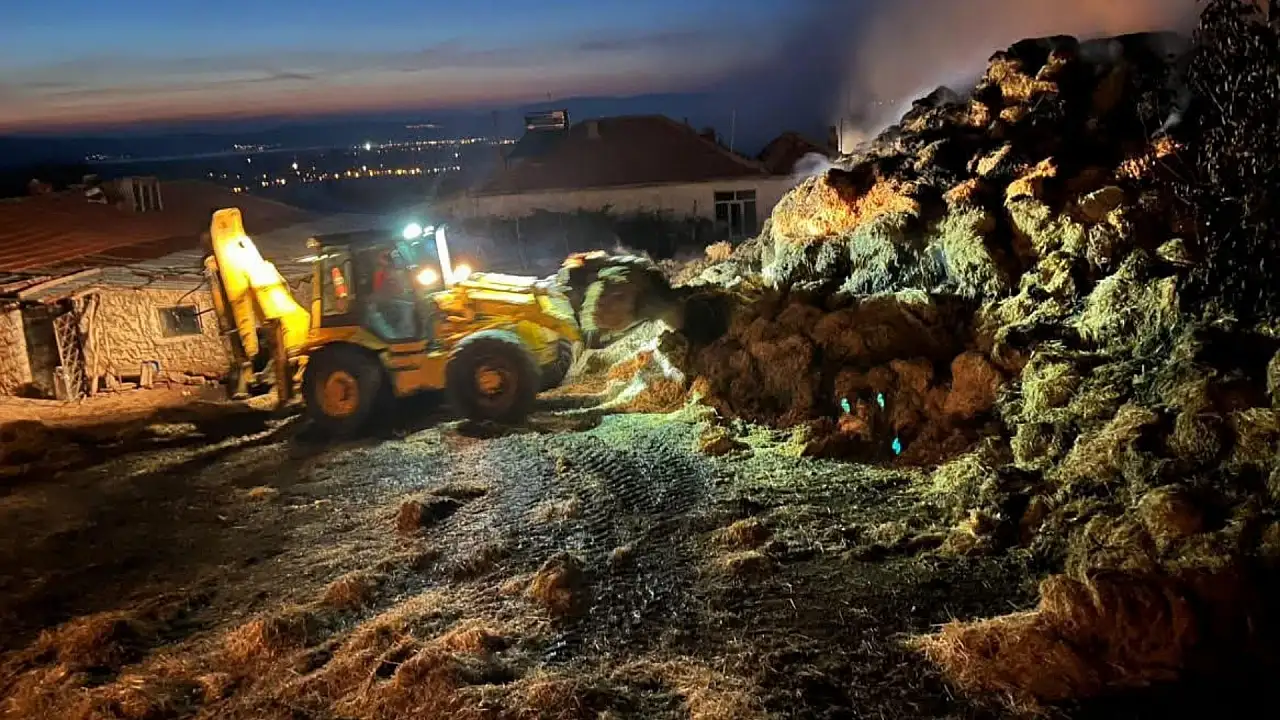 Kayseri'de 4 bin balyası küle döndü! 30 hayvanı için harekete geçtiler