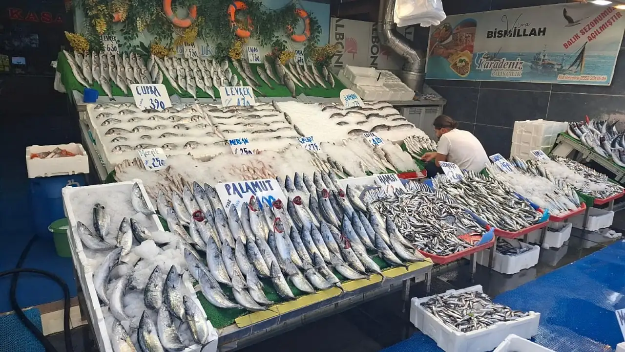 Kayseri'de balıkta fiyat sürprizi! Tezgâha gelen etikete inanamadı
