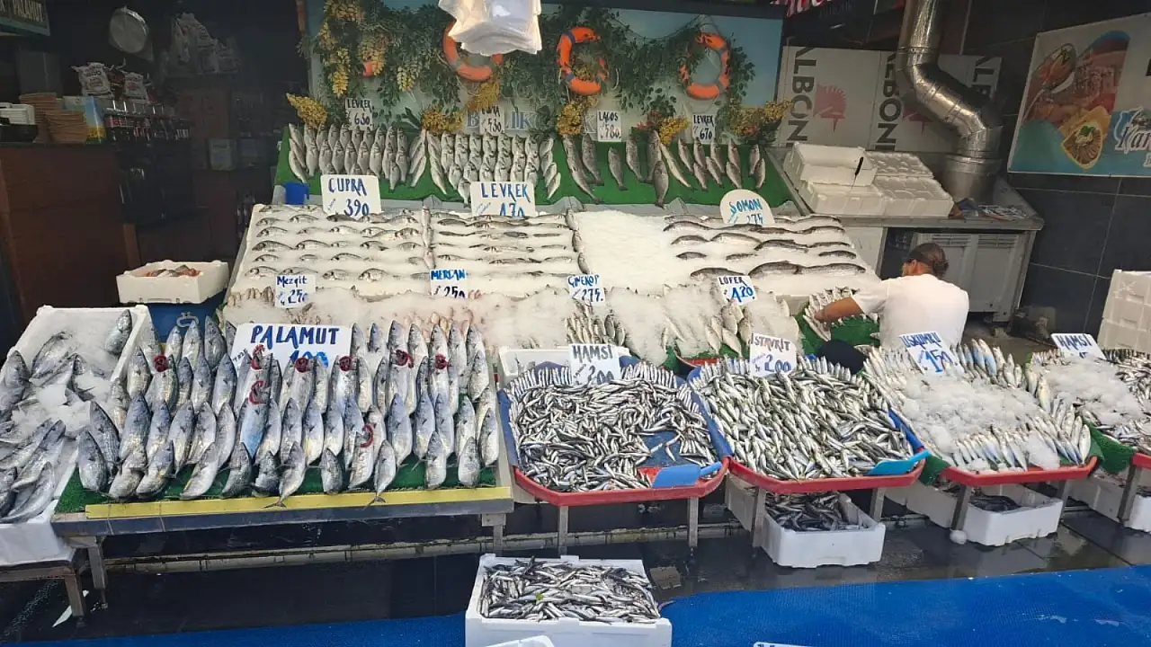 Kayseri'de balıkta fiyat sürprizi! Tezgâha gelen etikete inanamadı