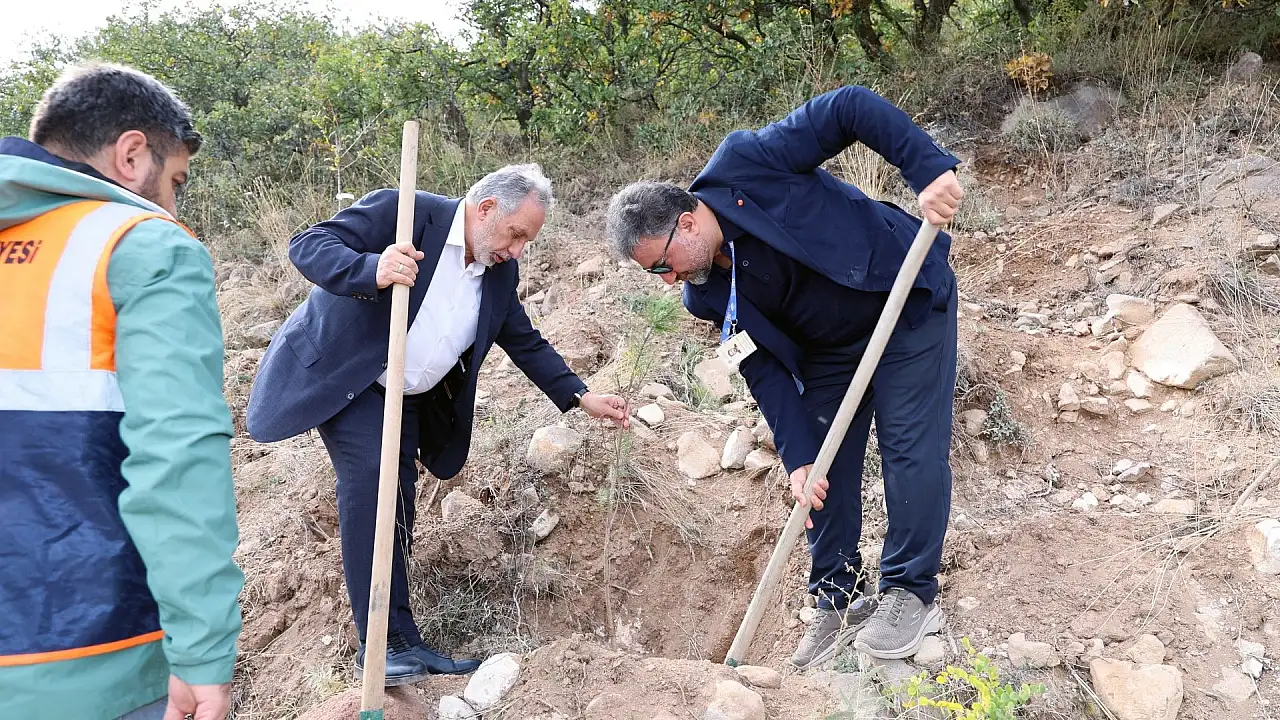 Talas'ta Dünya Artrit Günü'nde fidanlar toprakla buluştu!