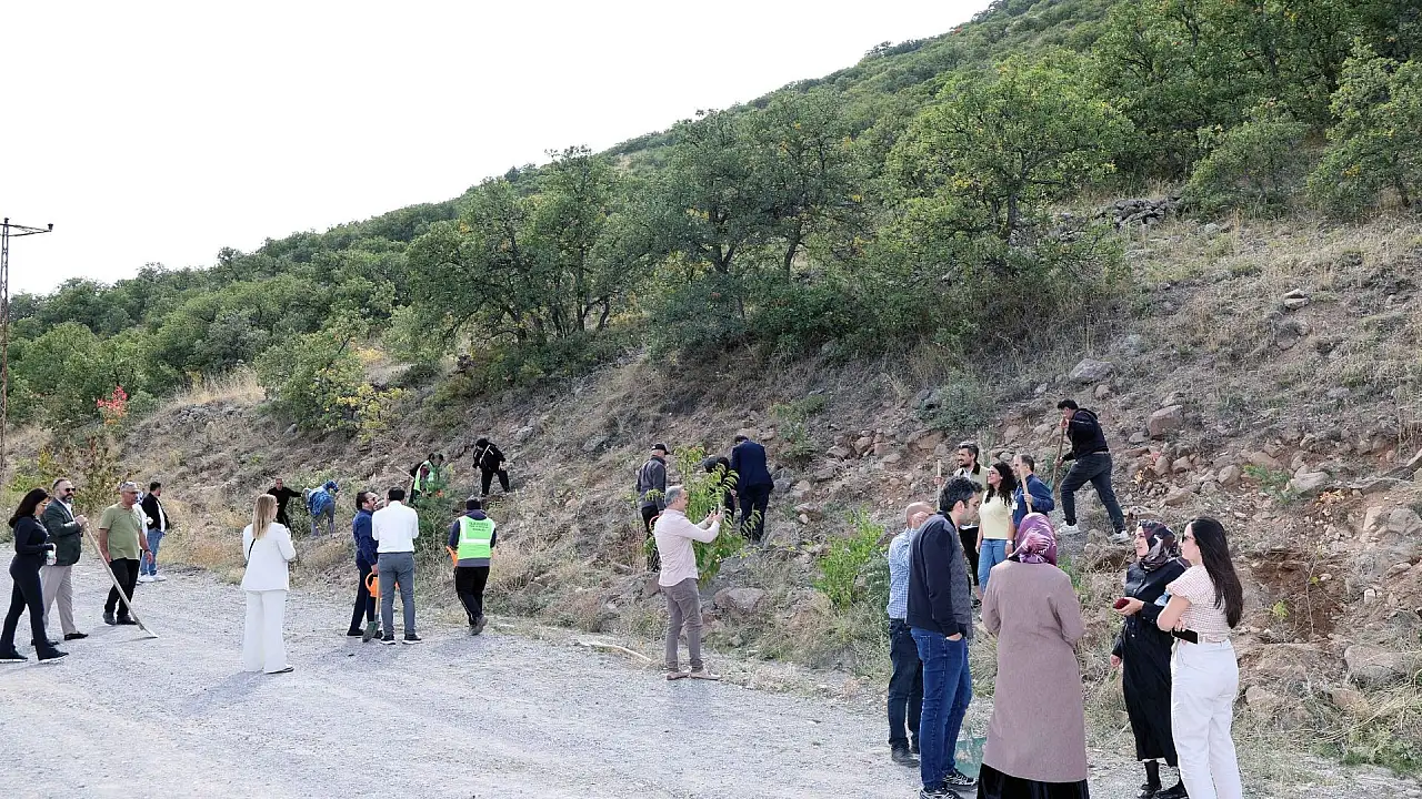 Talas'ta Dünya Artrit Günü'nde fidanlar toprakla buluştu!
