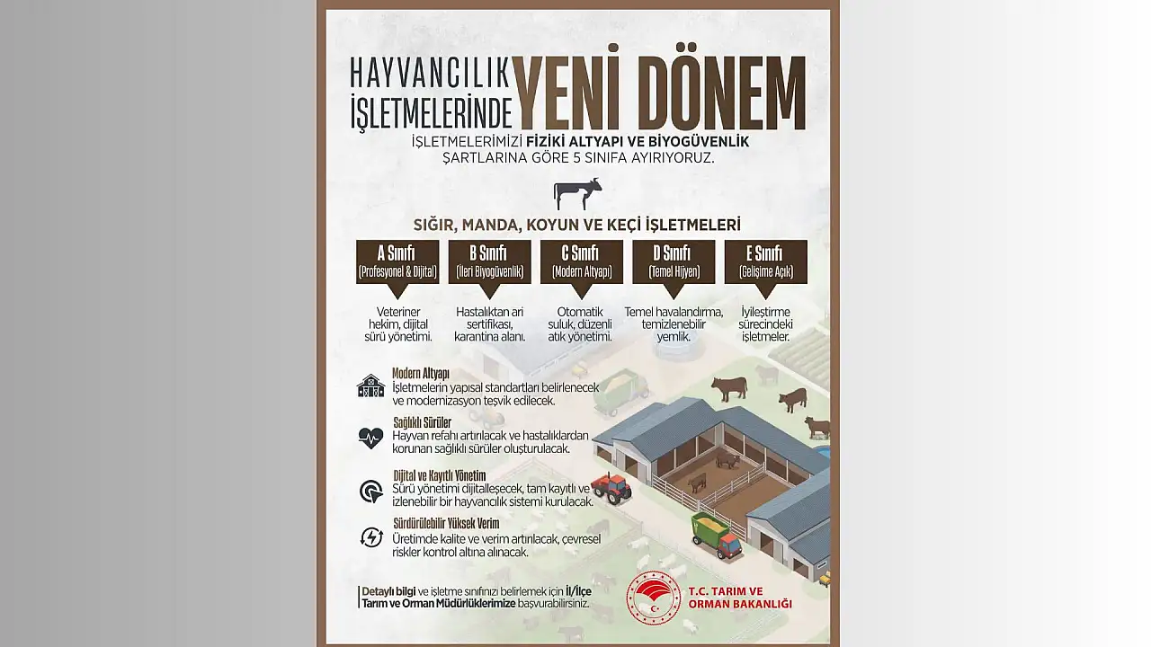 Hayvancılık işletmelerinde yeni dönem! İşletmeler 5 sınıfa ayrılacak