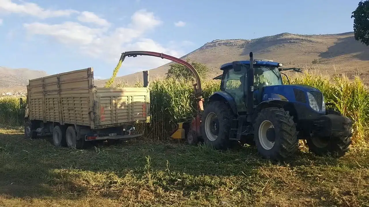 Kayseri'de 30 yıl önce yoktu, şimdi 500 bin tona ulaştı!