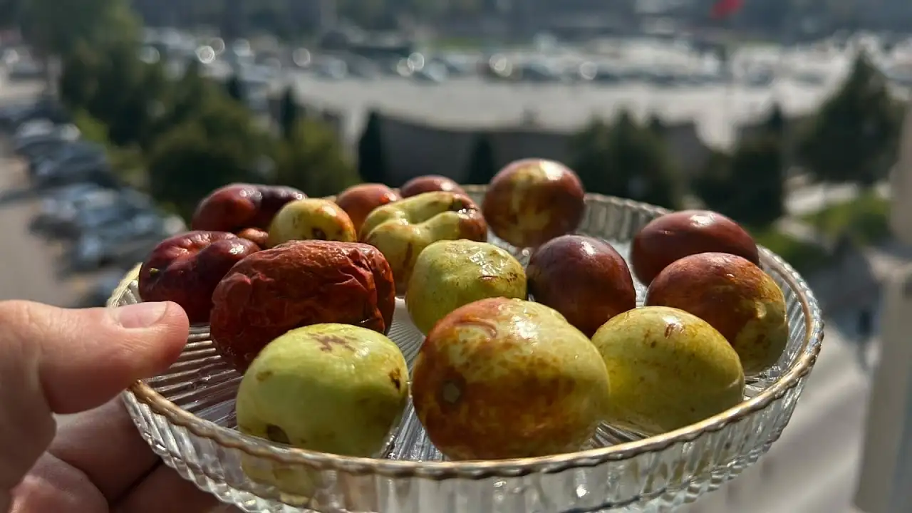 'Ölümsüzlük Meyvesi' Kayseri tezgâhlarında yerini aldı!