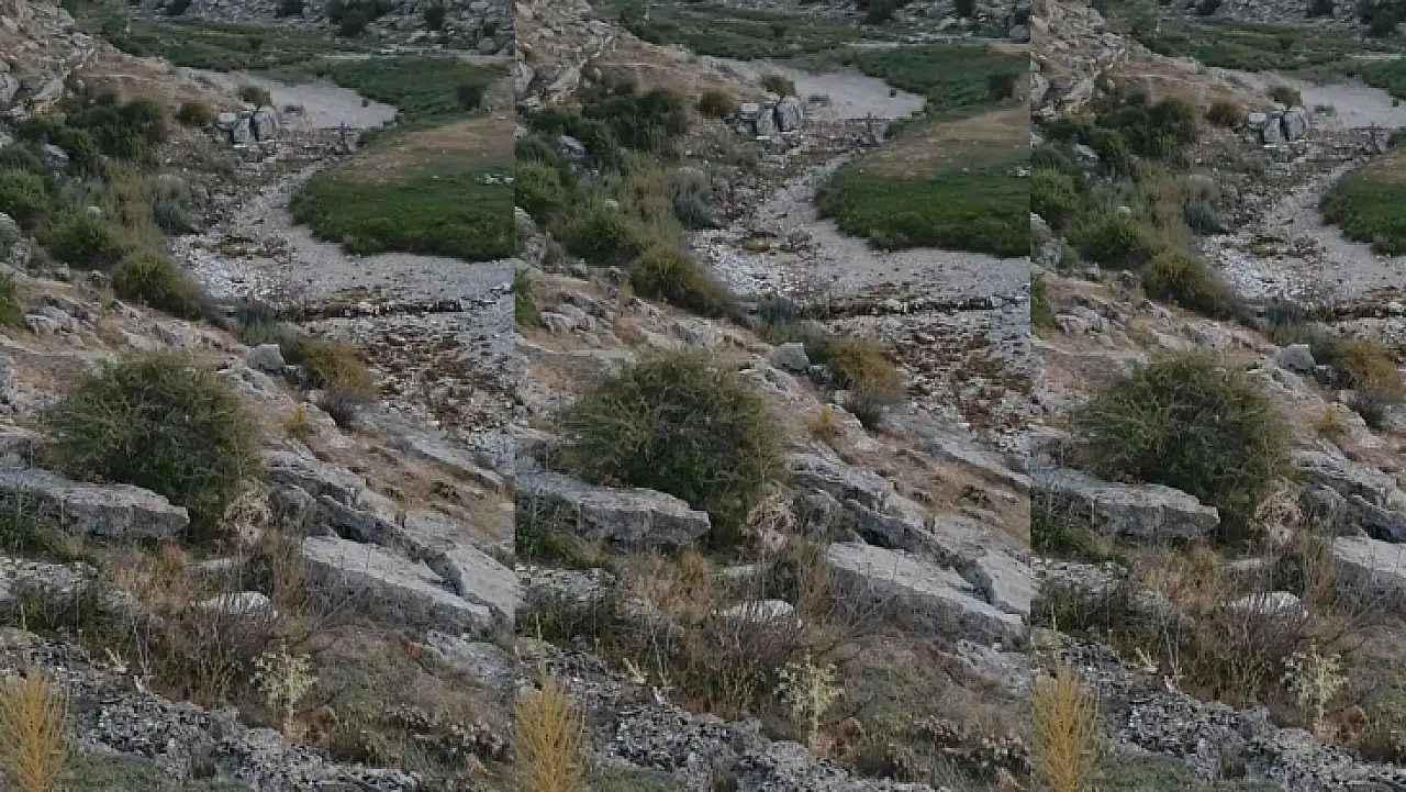 Kayseri'de endişelendiren görüntü! Vatandaş gördüğüne inanamadı, tepkiler çığ gibi