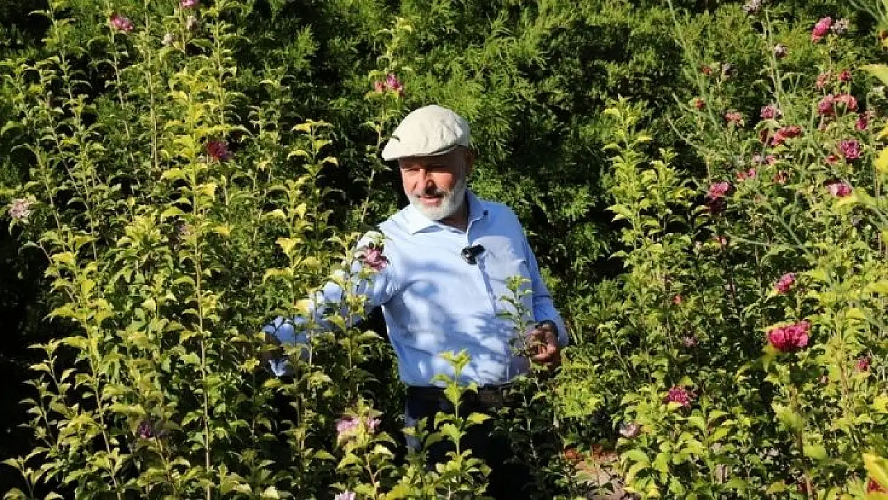 Türkiye'nin en kapsamlı üretim merkezi Kayseri'de yükseliyor!