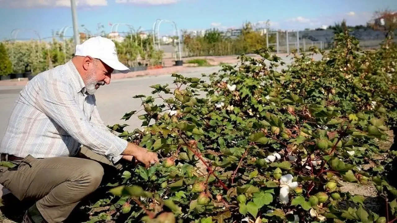 Türkiye'nin en kapsamlı üretim merkezi Kayseri'de yükseliyor!