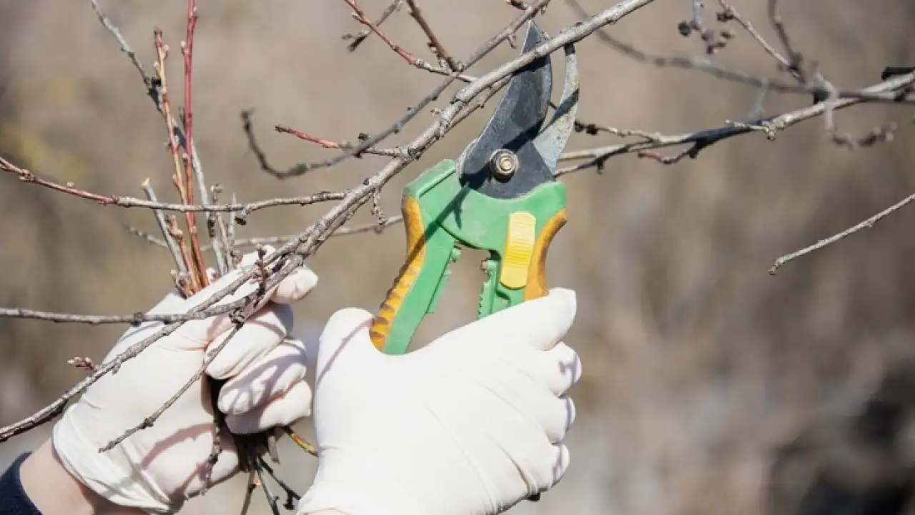 Tarım takvimi açıklandı: Cemreden hasada doğanın yol haritası