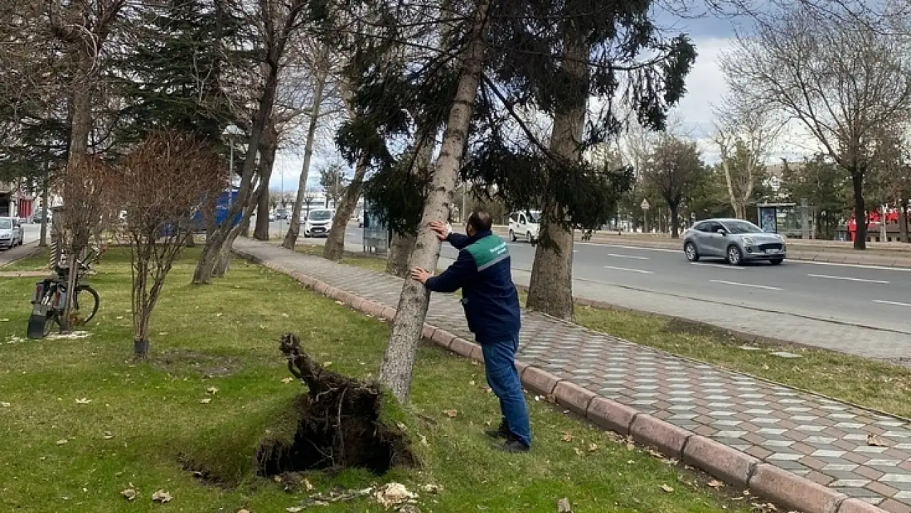 Kayseri'de fırtına alarmı! Büyükşehir ekipleri seferber oldu