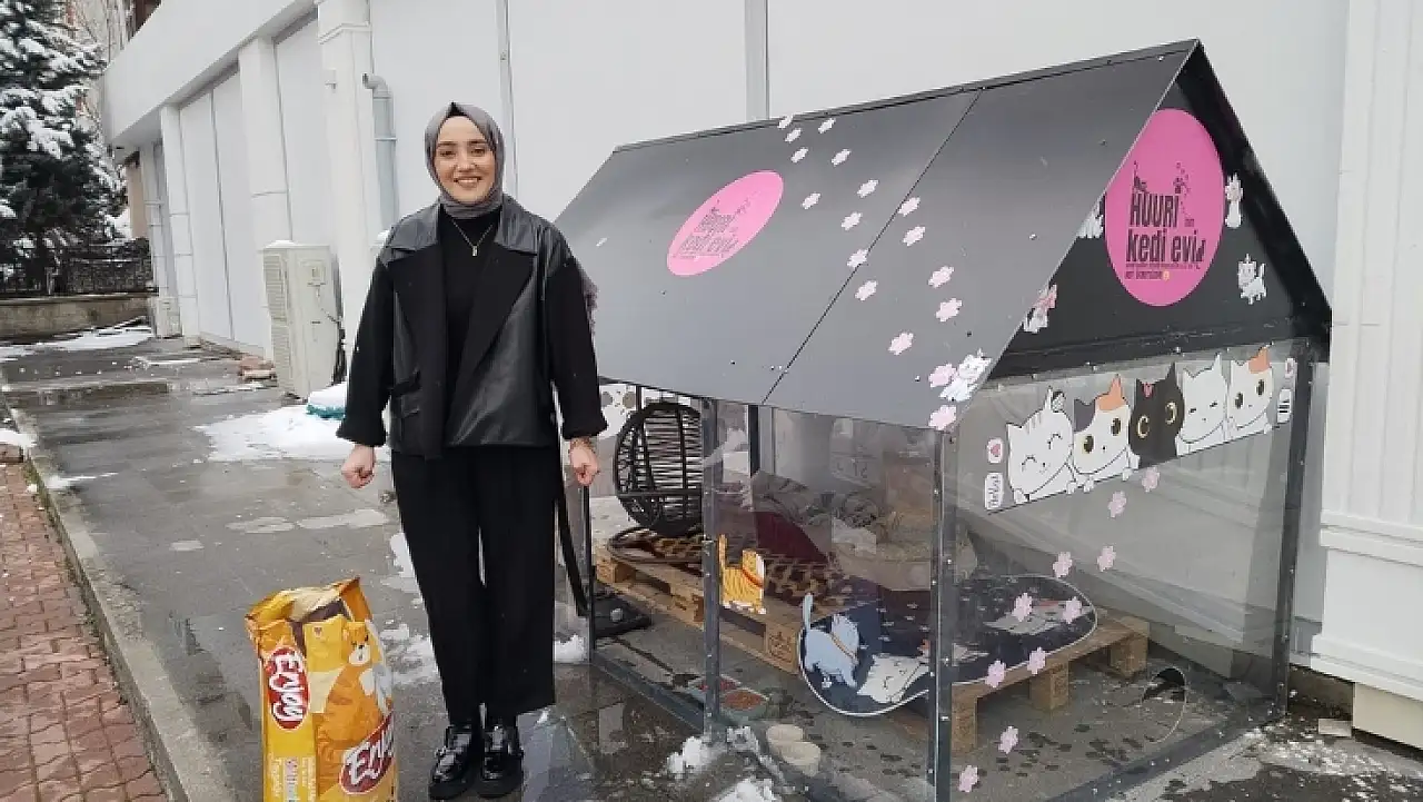 Kayseri'de yürek ısıtan hareket: Sokak kedilerine ısıtmalı ev