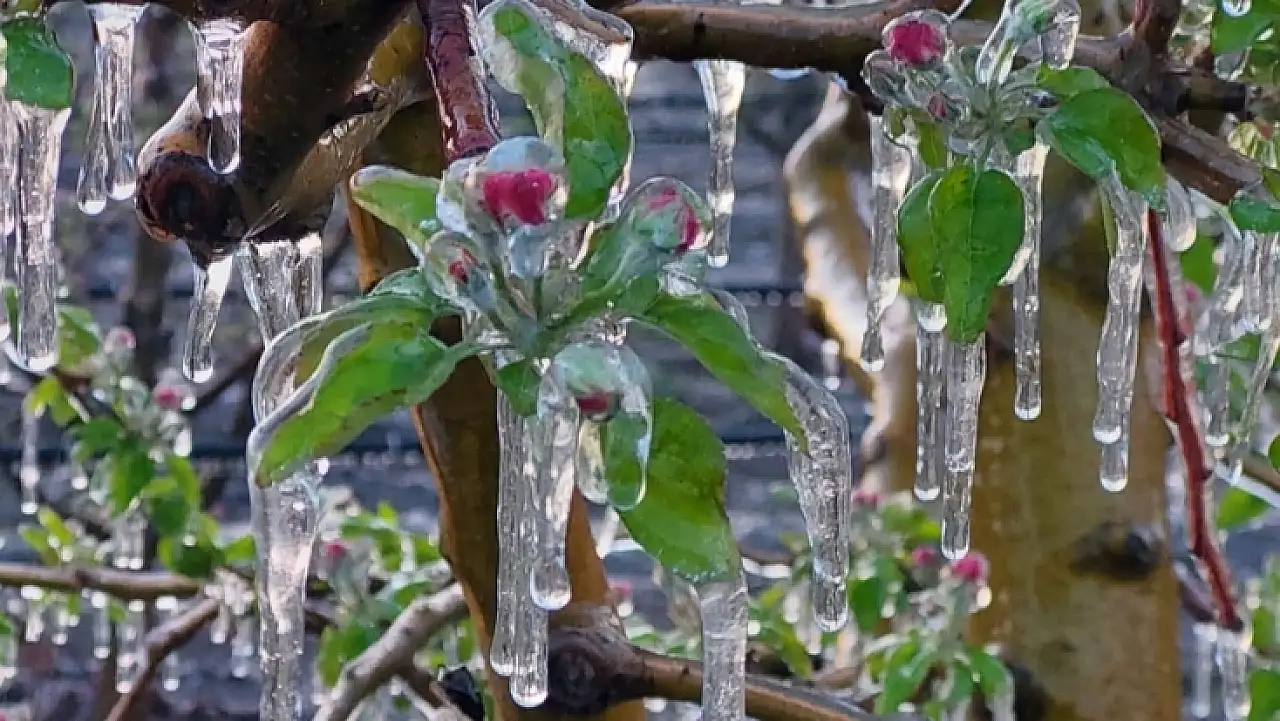 Kayseri'de soğuk hava sert vuracak: Zirai don bekleniyor!