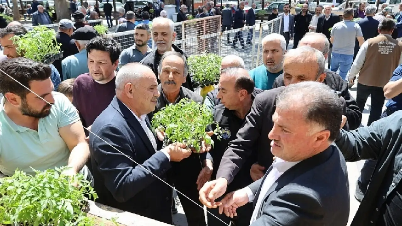 Yahyalı'da bedava fide dağıtıldı! Vatandaşlar meydana akın etti