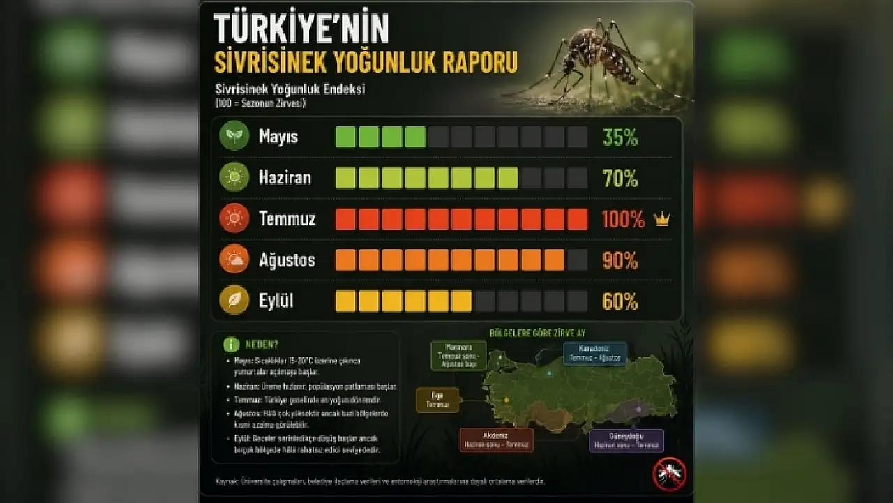 Yazın kabusu geri döndü: Kayseri'de sivrisinekler en çok ne zaman görülüyor?