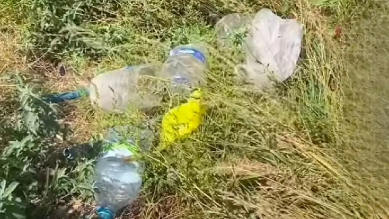Kayseri'nin bu noktasındaki görüntüler tepki çekti! Doğa çöplüğe döndü