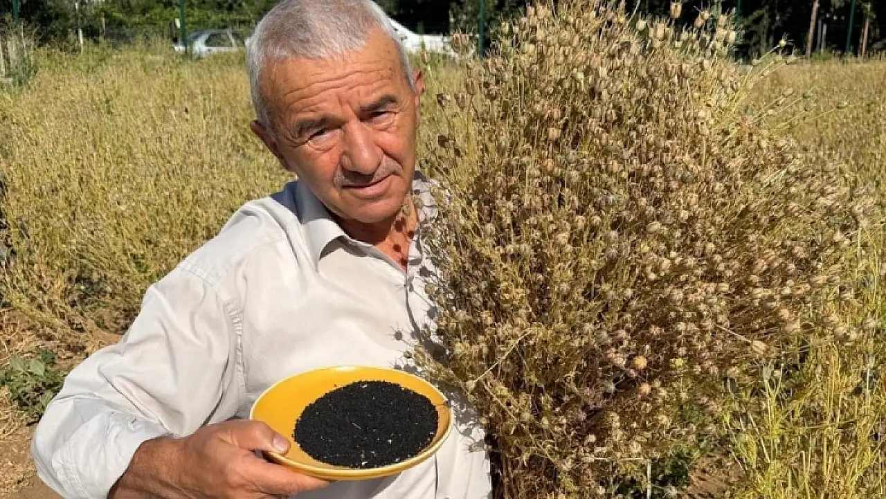 Develi'de denendi, sonuç şaşırttı! 4 ay sonra ilk hasat geldi