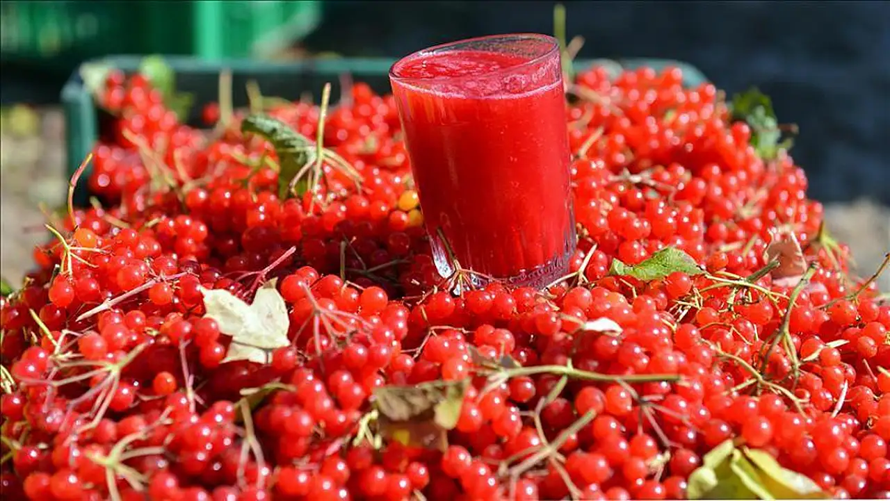 Binbir derde deva: Kayseri'de kilosu 50 TL'den başlıyor