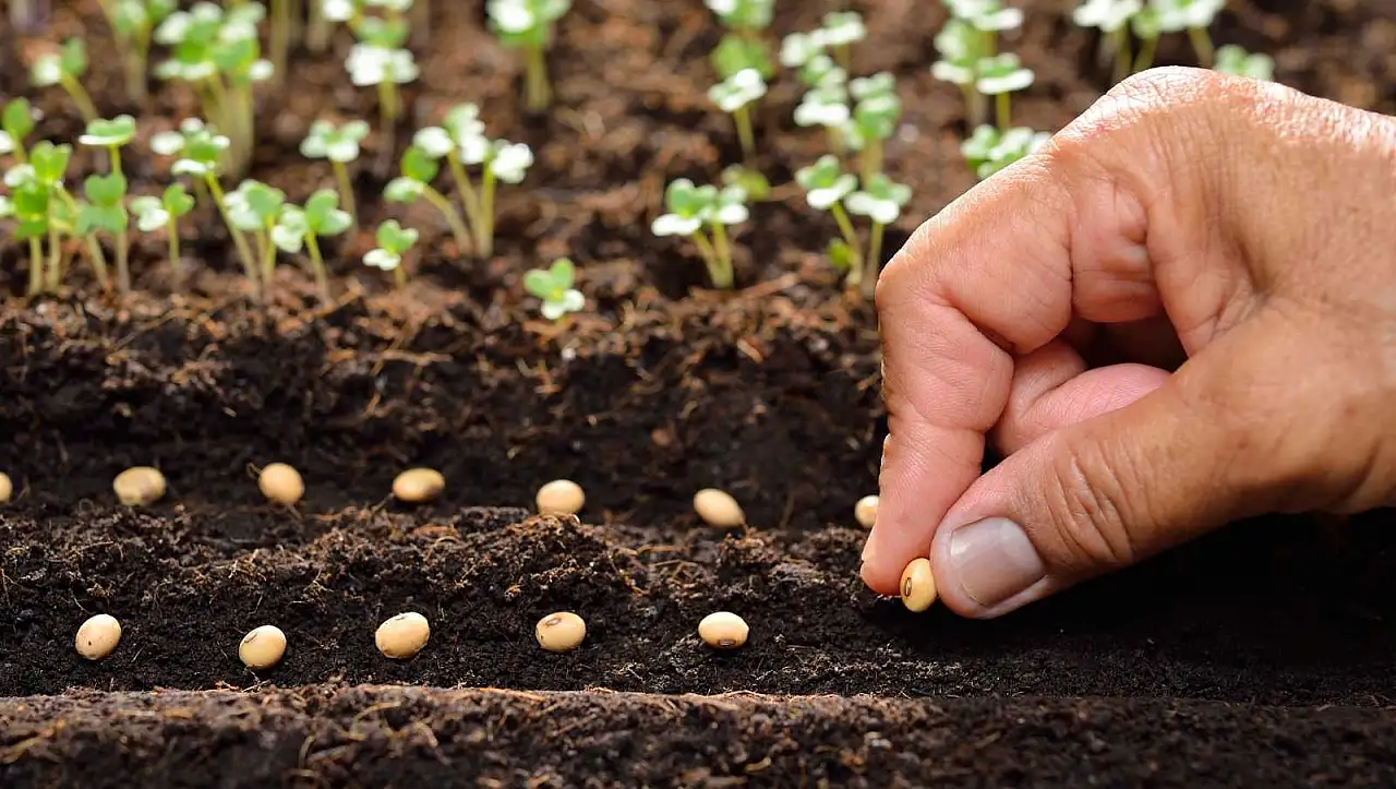 Kayseri'nin tarımsal üretimdeki gücü ortaya çıktı!