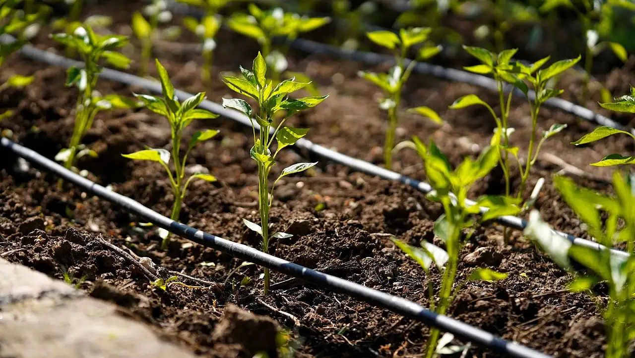 Kayseri tarımında su krizi kapıda: Hüseyin Akay'dan Fırat Nehri çıkışı!