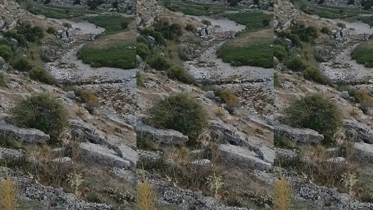 Kayseri'de bölge halkı endişeli: Zamantı Irmağı kurudu – Dernekten açıklama geldi!