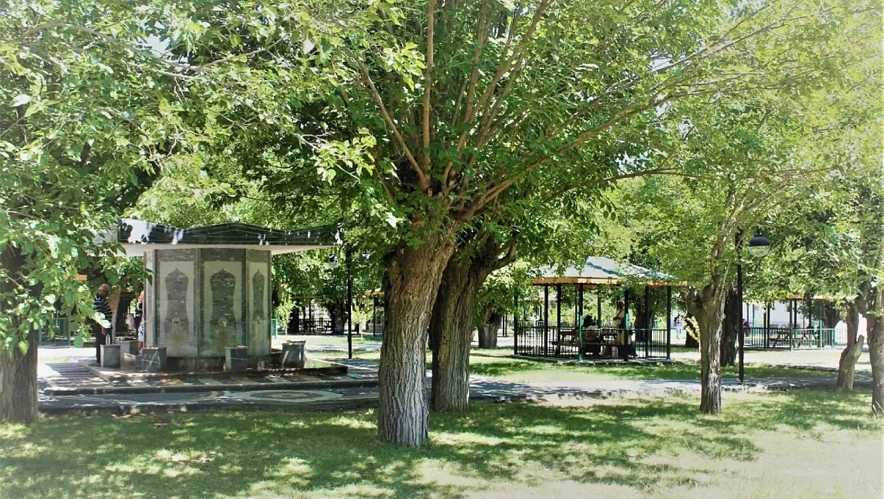 Faydaları saymakla bitmiyor – Kayseri'ye sırf bunun için gelenler var!