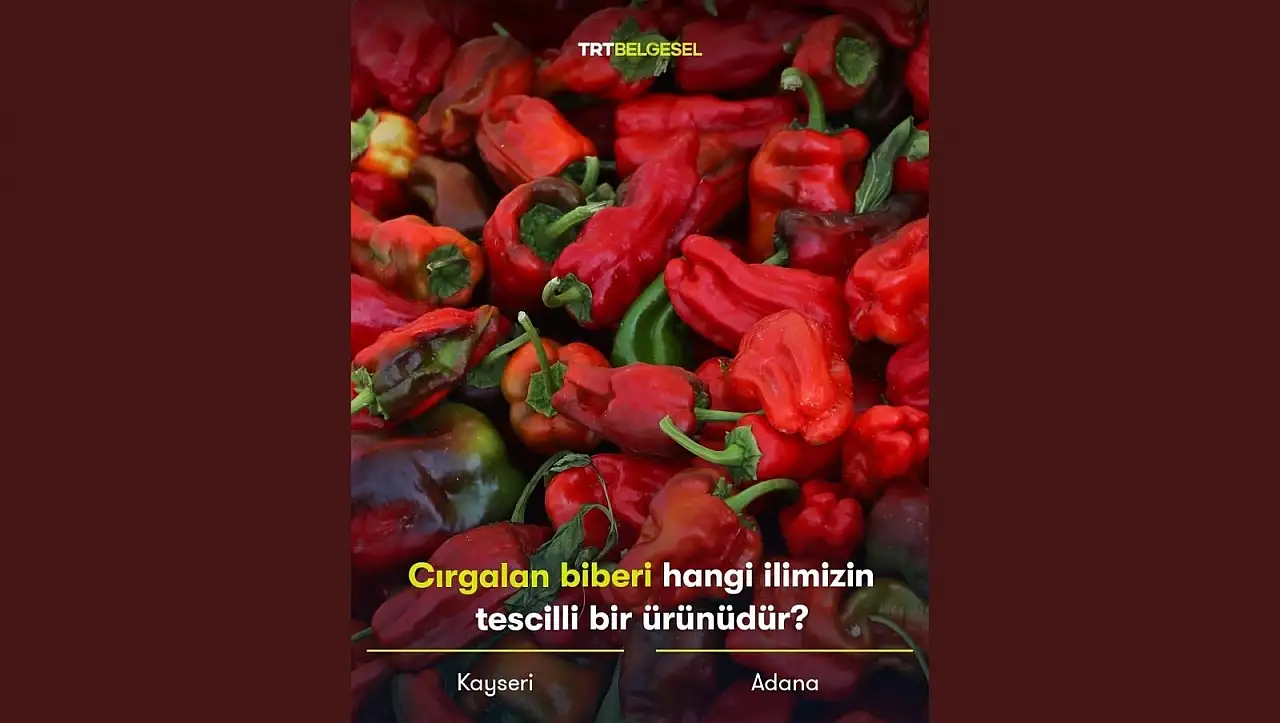 TRT Belgesel sorulan soru Kayseri'nin tescilli lezzetini gündeme taşıdı!