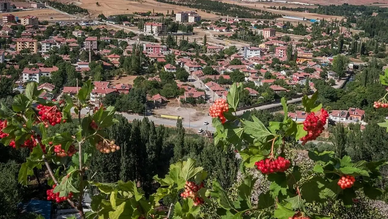 Sivas'a bağlı Kayseri'nin o ilçesi 130. yılını kutluyor!