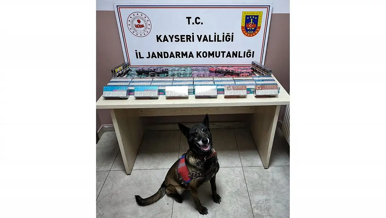 Kayseri'de kaçak sigara operasyonu düzenlendi
