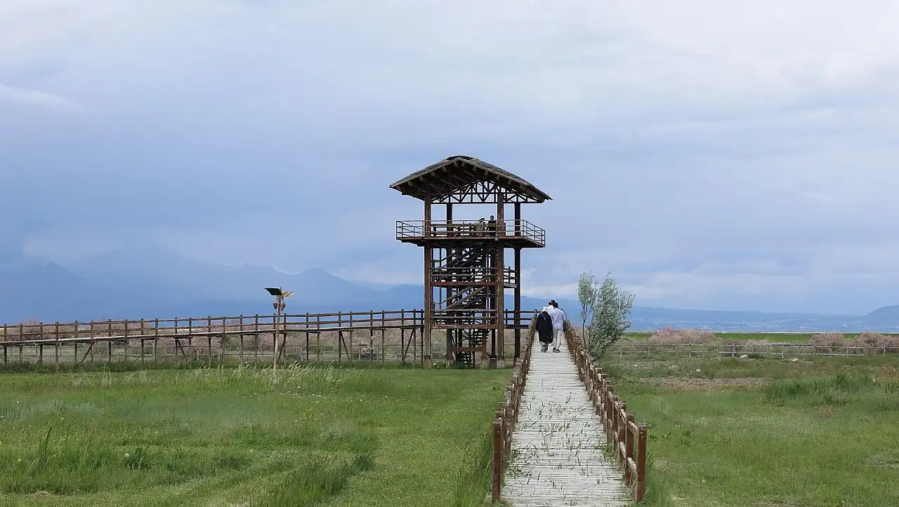 Kayseri'nin Kuş Cenneti yeniden yeşerdi - Bayramda ziyaretçilerini bekliyor!