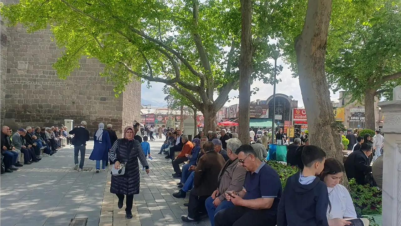 Kayseri'de şikayetler arttı: Vatandaşı canından bezdiren istila!