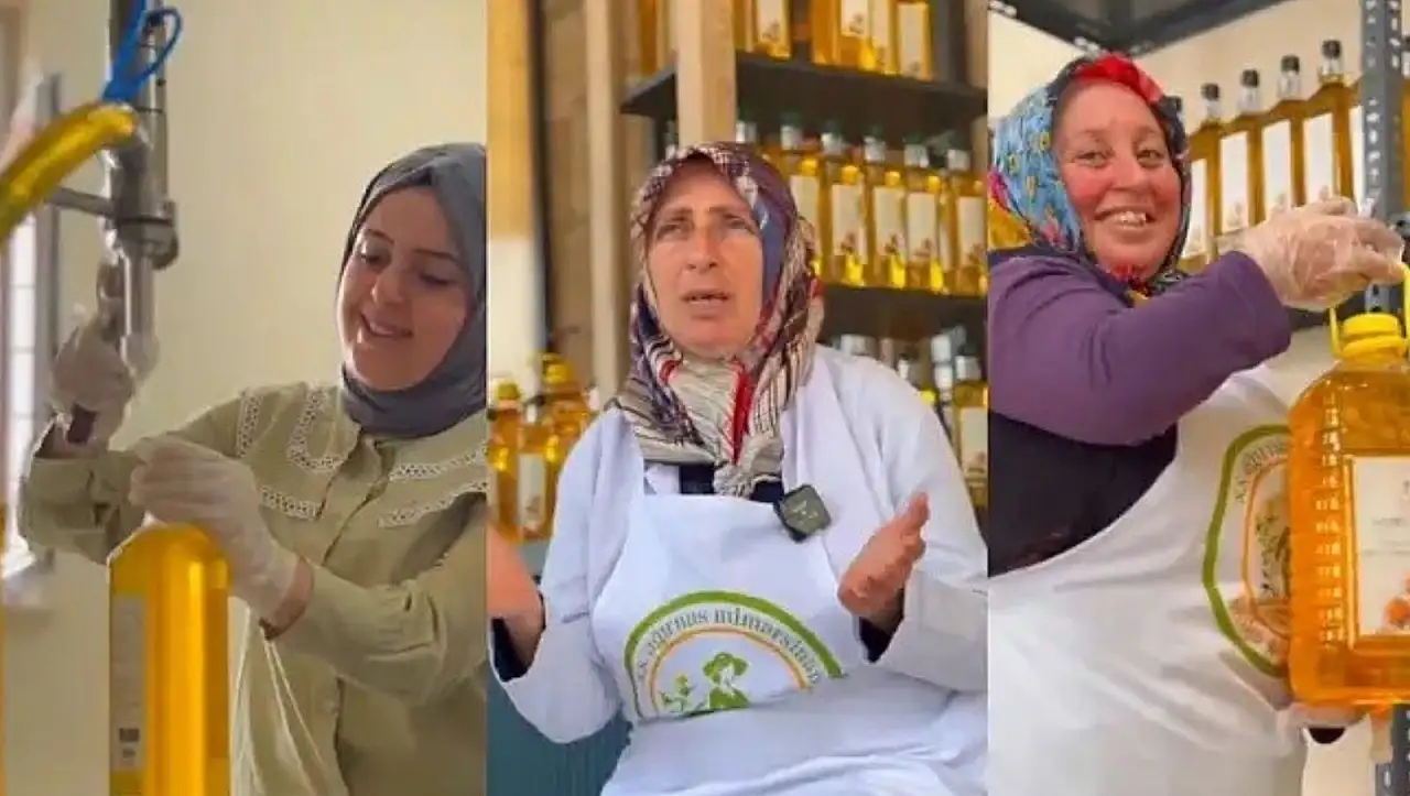 'Bozkırın altın damlası' bilimsel verilerle vitrine çıktı!