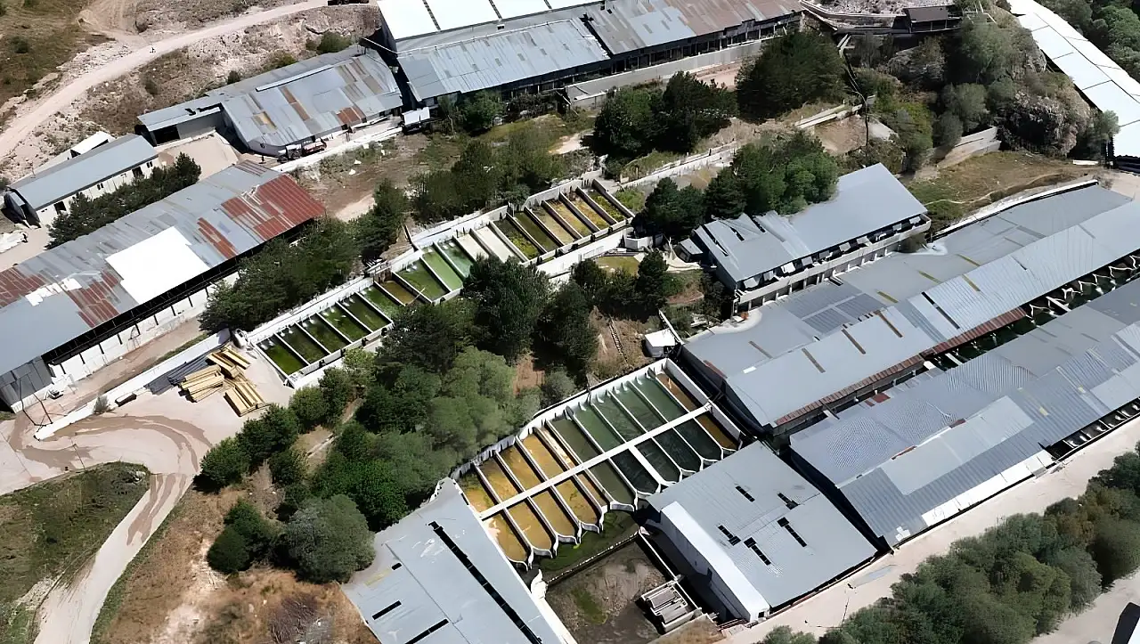 Bozkırın ortasında, denizden uzak bir hikâye: Kayseri'de şaşırtan üretim