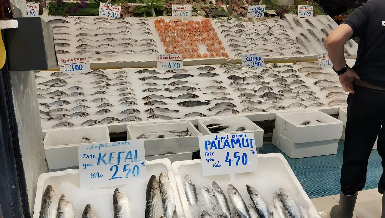 İşte Kayseri'nin en çok tercih ettiği balık türü ve güncel tezgâh fiyatları!