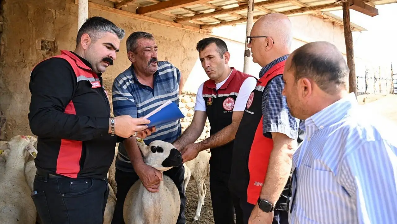 Sarız'da 'Kırsalda Bereket' projesi üreticinin yüzünü güldürdü!
