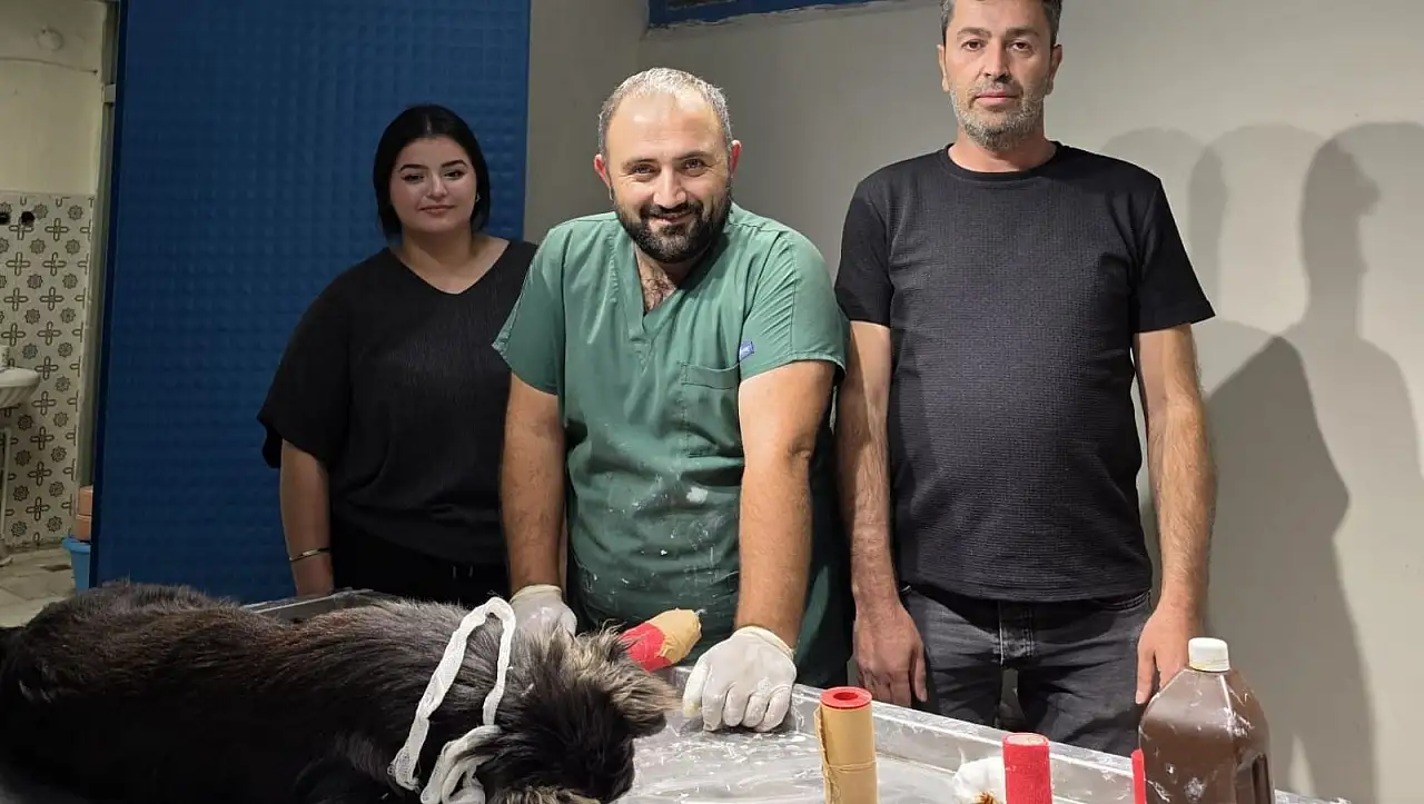 Kayseri'de otomobiliyle çarptığı köpeğin tedavisini üstlendi
