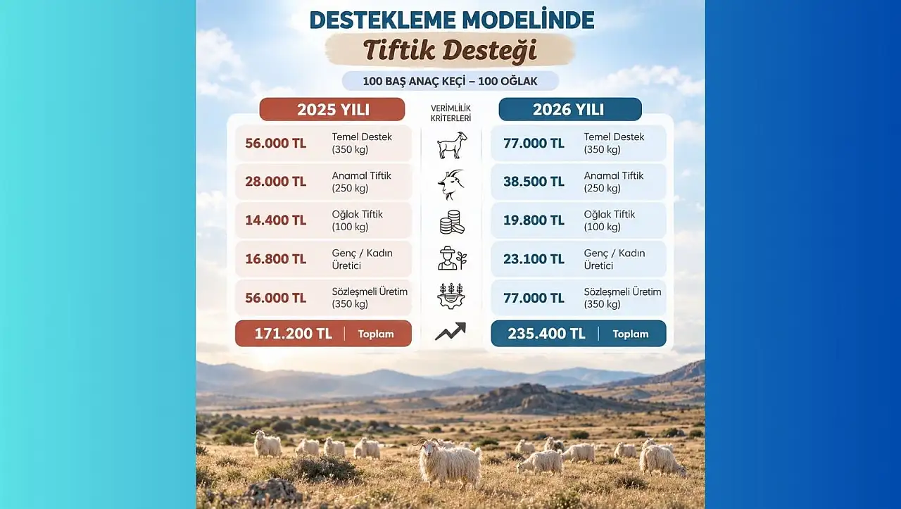 Tiftik üreticisine müjde! 2026'da destekler yükseldi