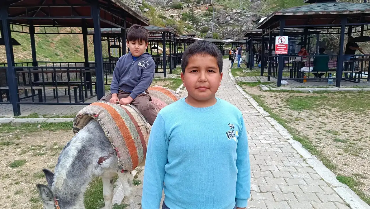 Kayseri'de eşekle tur dönemi!