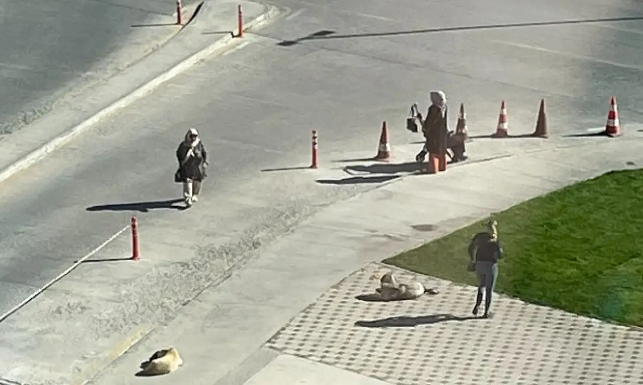 Kayseri'de hastaneye giden tedirgin oluyor: Bu soruna bir türlü çözüm bulunamıyor!