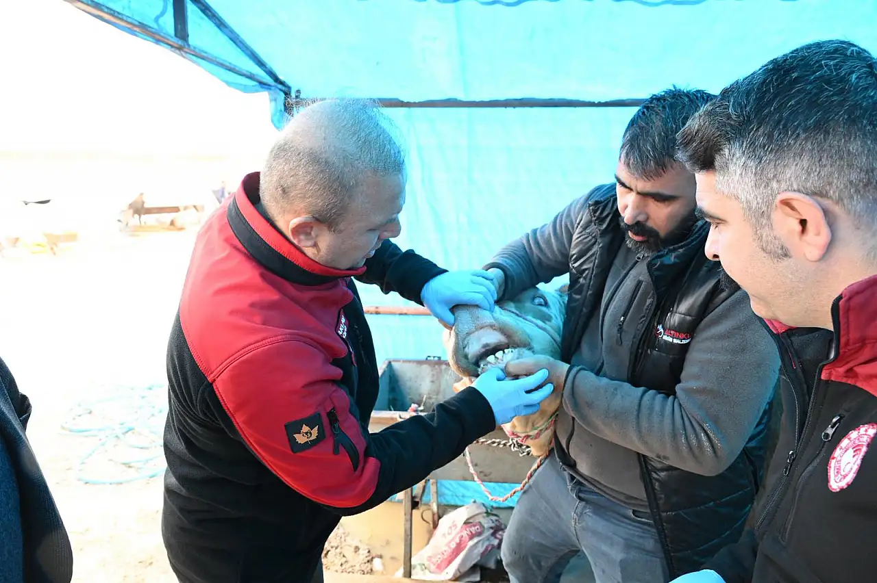 Kayseri'de denetimler artıyor: Kurban pazarlarında son durum!