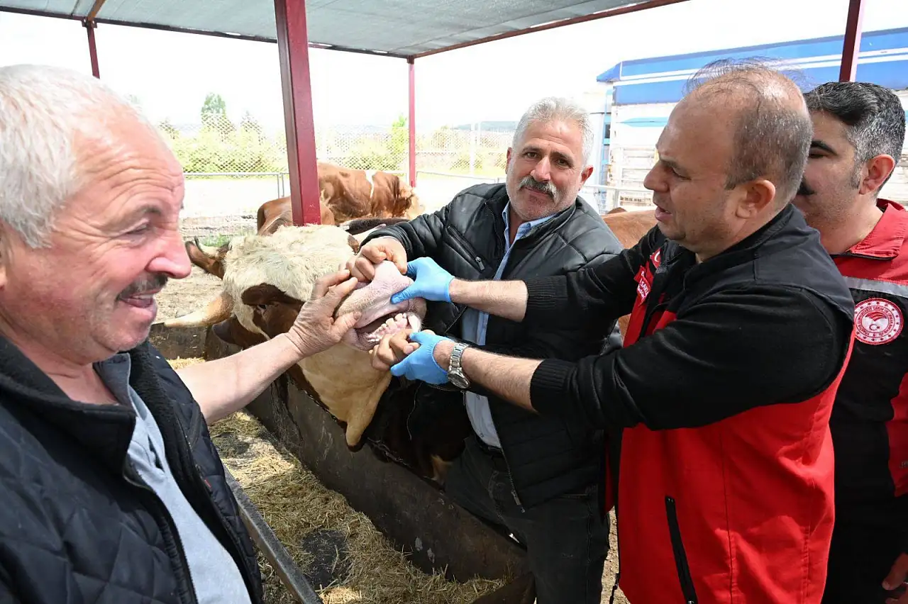 Kayseri'de kurban pazarına yakın markaj! Bayram öncesi sahaya inildi