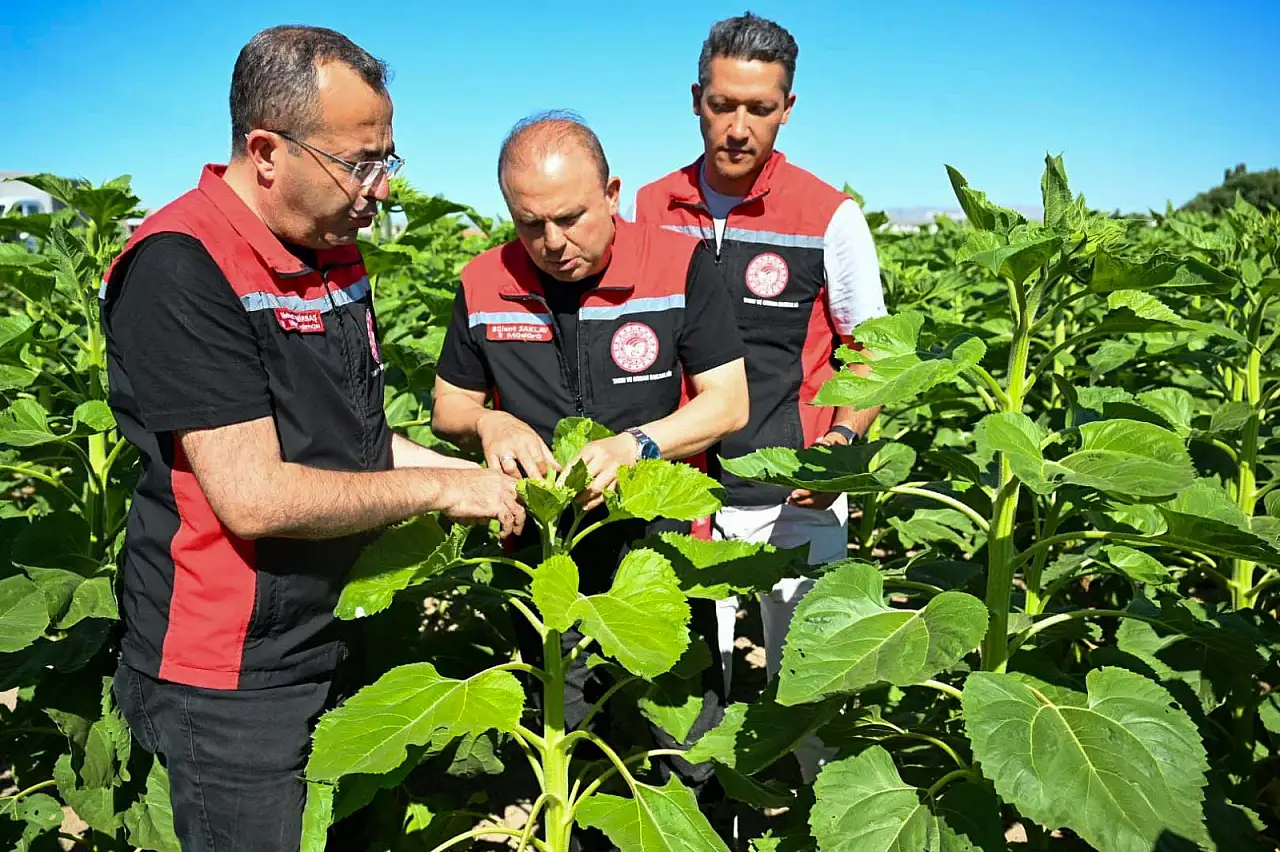 Kayseri İl Tarım ve Orman Müdürü Saklav sahaya indi: Ekili alanlarda inceleme!