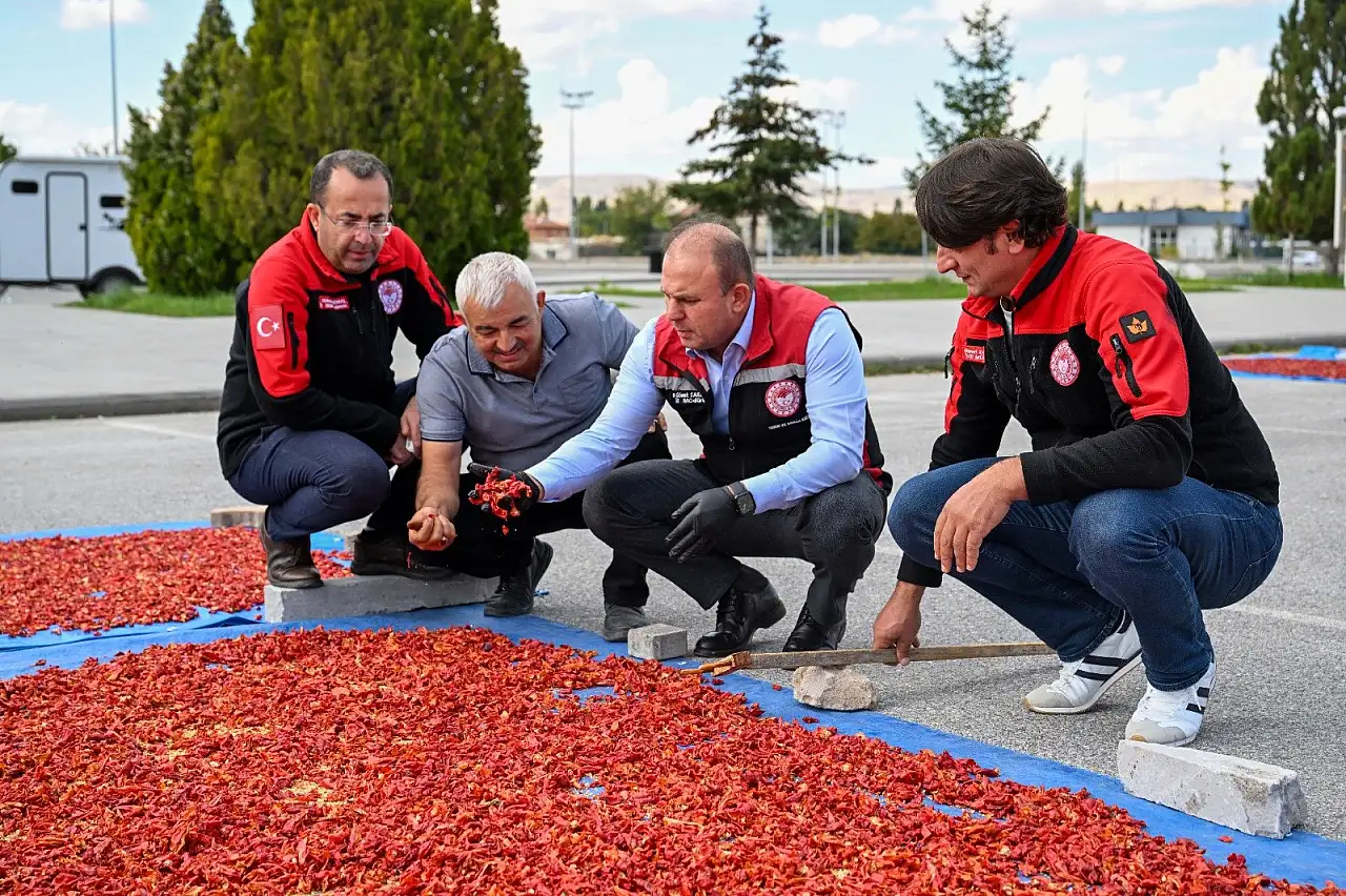 İl Müdürü bizzat inceledi: Kayseri'nin kırmızı altını için kurutma ve öğütme dönemi başladı!