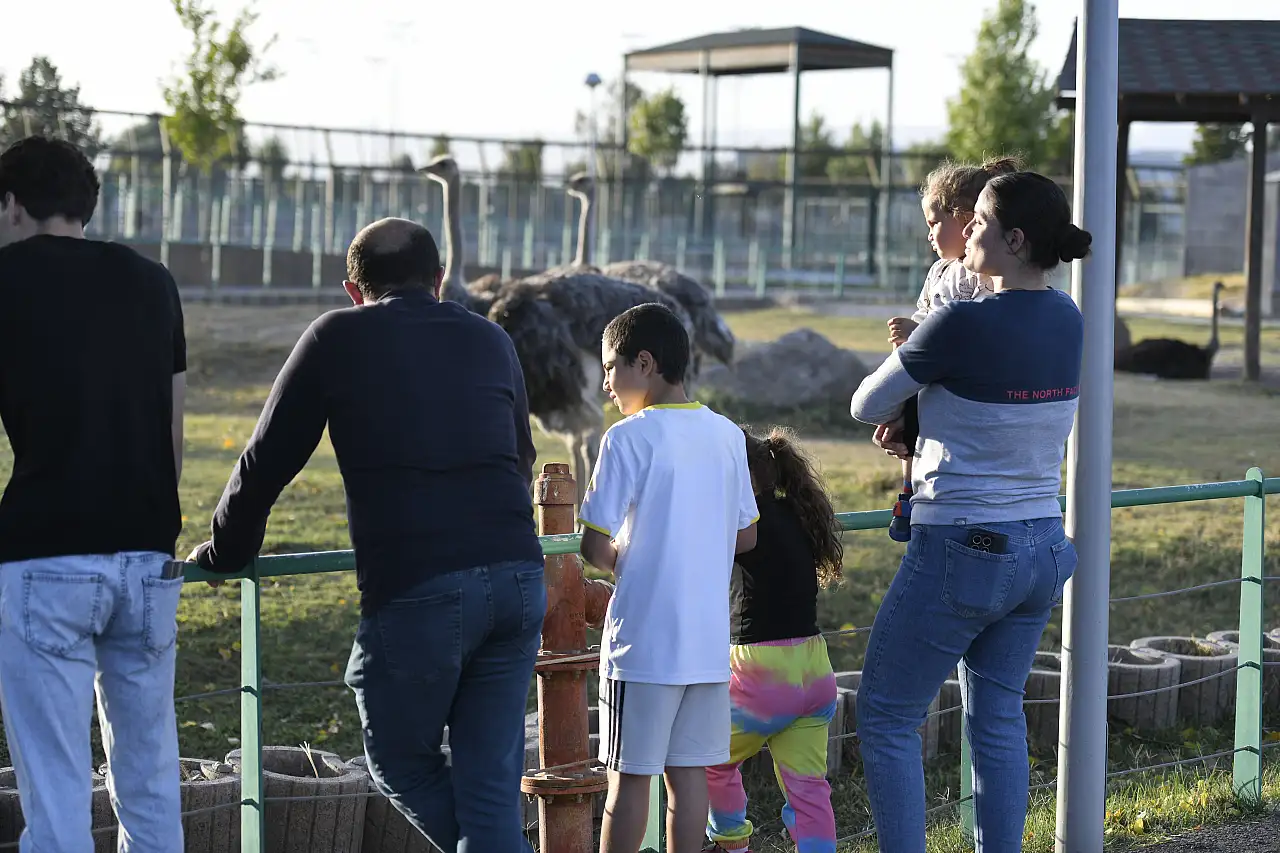 Kayserililerden Başkan Büyükkılıç'ın hayvan sevgisi jesti'ne yoğun ilgi!