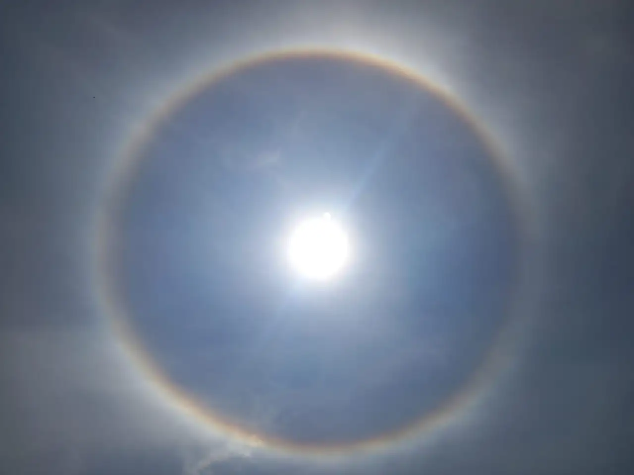 Kayseri'de bu kez bakın hangi ilçede görüldü? Kafasını kaldıranlar bir kez daha baktı!