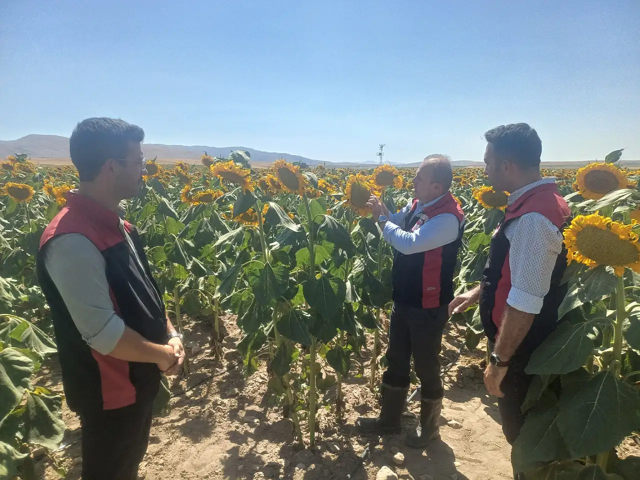 Kayseri'de çizmeleri giydi sahaya indi: Tarlada, ahırda, denetimde...