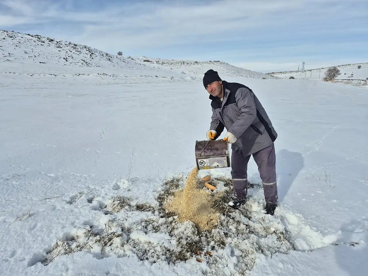 Bünyan'da sokak hayvanlarına yem desteği