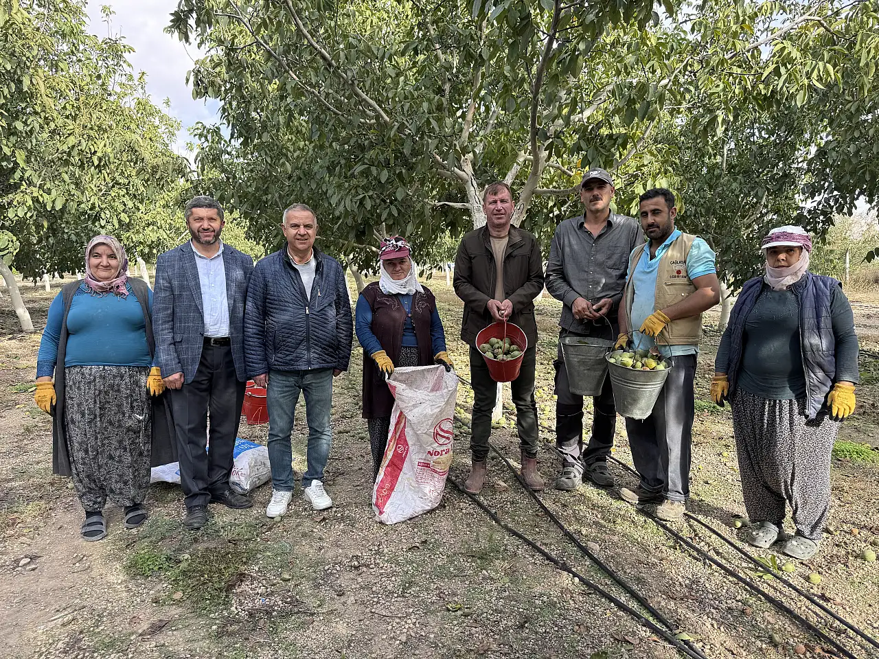 Kayseri'de olmaz dediler, şimdi herkes peşine düştü! 2 bin ağaçtan büyük kazanç