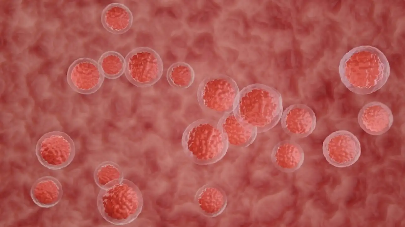 Kemik iliği naklinde test ücretlerine SGK güvencesi