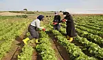 Kayseri'de kooperatiflere kırsal kalkınma desteği!