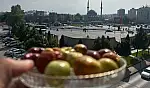 'Ölümsüzlük Meyvesi' Kayseri tezgâhlarında yerini aldı!
