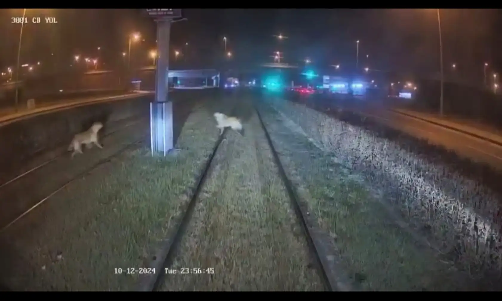 Kayseri'de raylı sistem hattında hareketli anlar!